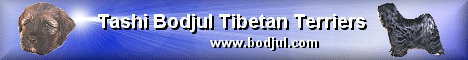 Tashi Bodjul Tibetan Terriers - www.bodjul.com